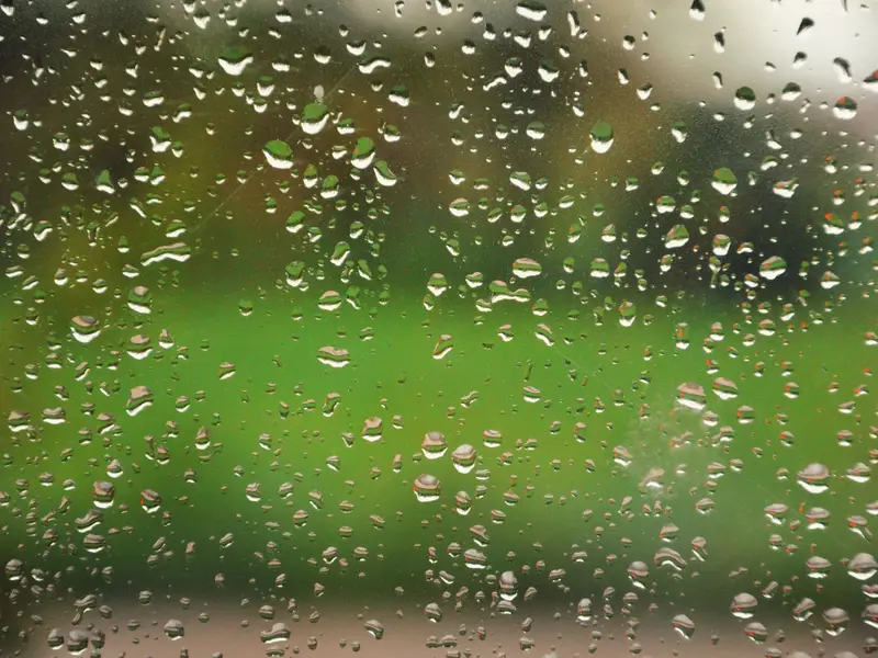 Summer humidity beading on a window