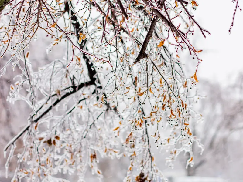 Heat pump covered in ice after an ice storm